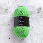 13 Grøn papegøje